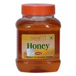 PATANJALI HONEY 500g